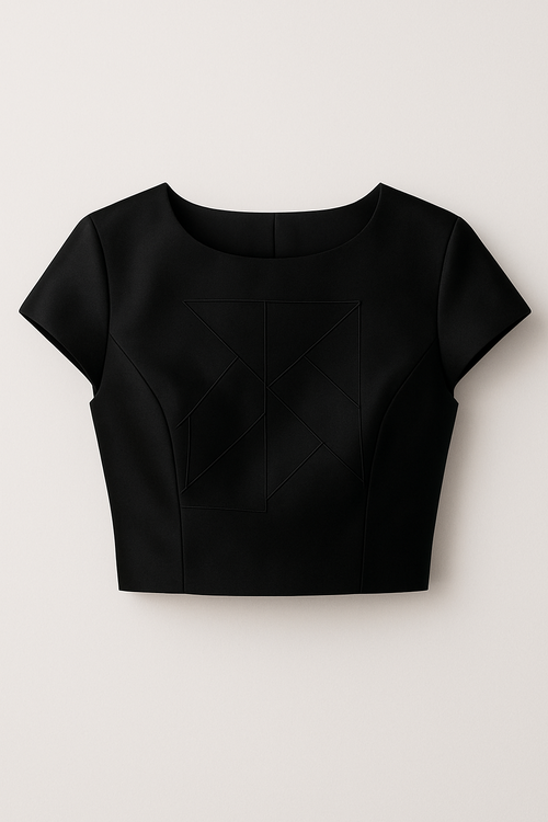 chic embroidery fur crop top

